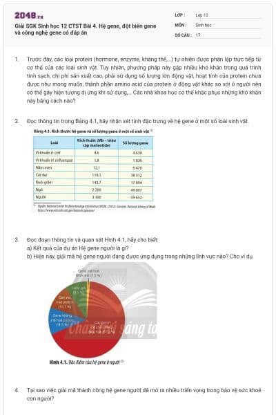 Giải SGK Sinh học 12 CTST Bài 4. Hệ gene, đột biến gene và công nghệ gene có đáp án