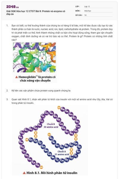 Giải SGK Hóa học 12 CTST Bài 8: Protein và enzyme có đáp án