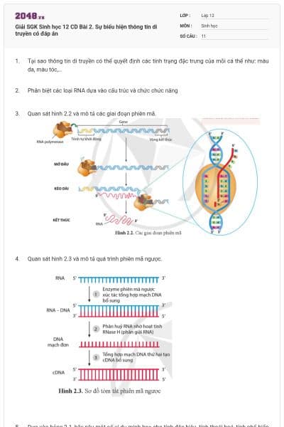 Giải SGK Sinh học 12 CD Bài 2. Sự biểu hiện thông tin di truyền có đáp án