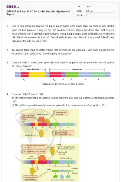 Giải SGK Sinh học 12 CD Bài 3. Điều hòa biểu hiện Gene có đáp án