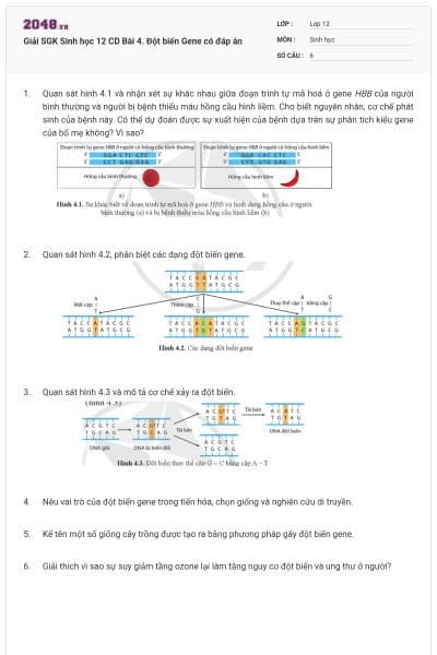 Giải SGK Sinh học 12 CD Bài 4. Đột biến Gene có đáp án