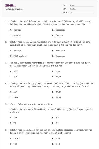 14 Bài tập đốt cháy