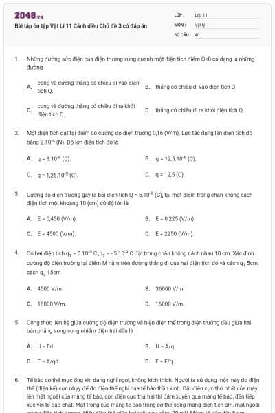 Bài tập ôn tập Vật Lí 11 Cánh diều Chủ đề 3 có đáp án
