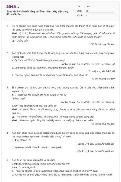 Soạn văn 9 Chân trời sáng tạo Thực hành tiếng Việt trang 46 có đáp án