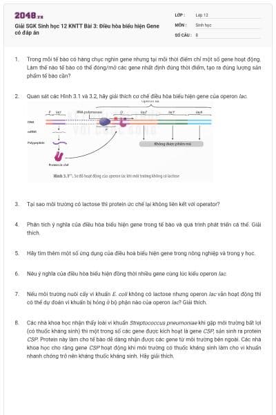 Giải SGK Sinh học 12 KNTT Bài 3: Điều hòa biểu hiện Gene có đáp án