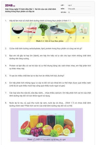 Giải Công nghệ 9 Cánh diều Bài 1. Vai trò của các chất dinh dưỡng trong thực phẩm có đáp án