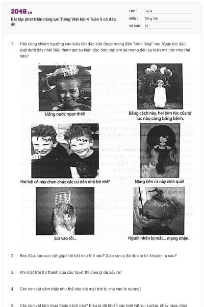 Bài tập phát triển năng lực Tiếng Việt lớp 4 Tuần 5 có đáp án