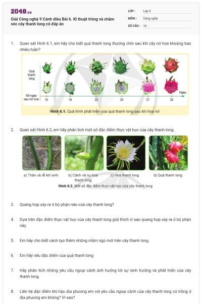 Giải Công nghệ 9 Cánh diều Bài 6. Kĩ thuật trồng và chăm sóc cây thanh long có đáp án