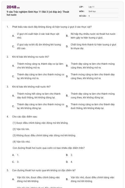9 câu  Trắc nghiệm Sinh Học 11 Bài 3 (có đáp án): Thoát hơi nước