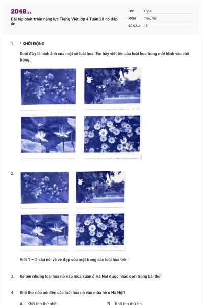 Bài tập phát triển năng lực Tiếng Việt lớp 4 Tuần 28 có đáp án