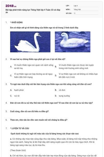 Bài tập phát triển năng lực Tiếng Việt lớp 4 Tuần 33 có đáp án