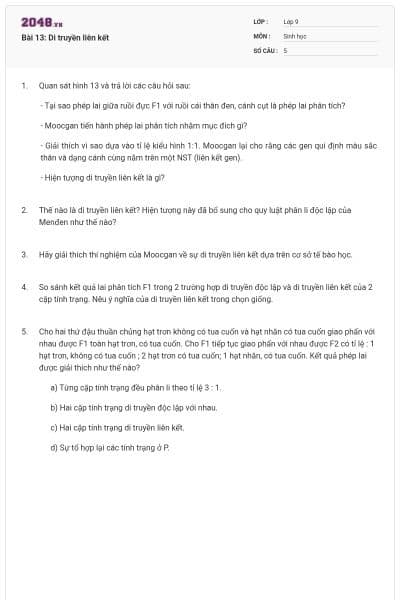 Bài 13: Di truyền liên kết