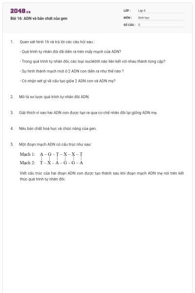 Bài 16: ADN và bản chất của gen