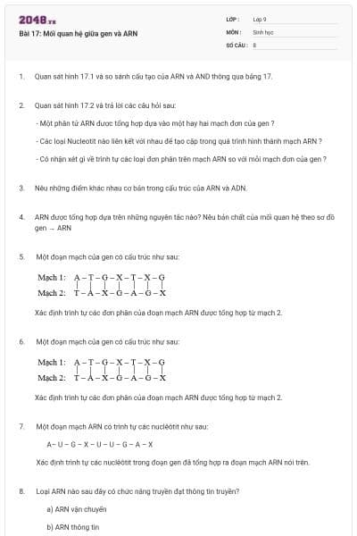 Bài 17: Mối quan hệ giữa gen và ARN