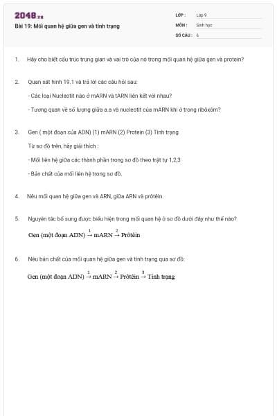 Bài 19: Mối quan hệ giữa gen và tính trạng