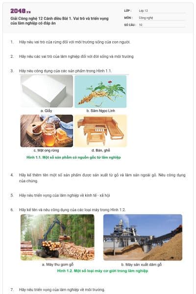 Giải Công nghệ 12 Cánh diều Bài 1. Vai trò và triển vọng của lâm nghiệp có đáp án