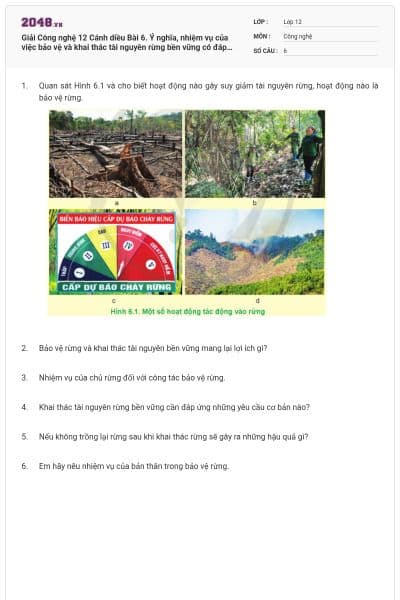 Giải Công nghệ 12 Cánh diều Bài 6. Ý nghĩa, nhiệm vụ của việc bảo vệ và khai thác tài nguyên rừng bền vững có đáp án