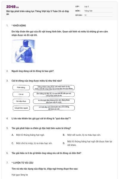 Bài tập phát triển năng lực Tiếng Việt lớp 5 Tuần 26 có đáp án