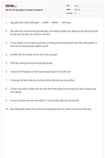 Bài 40: Ôn tập phần di truyền và biến dị