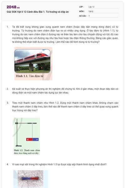 Giải SGK Vật lí 12 Cánh diều Bài 1. Từ trường có đáp án
