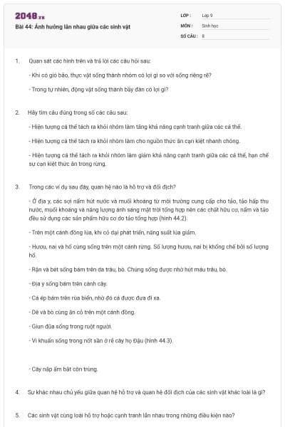 Bài 44: Ảnh hưởng lẫn nhau giữa các sinh vật