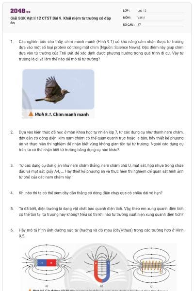 Giải SGK Vật lí 12 CTST Bài 9. Khái niệm từ trường có đáp án