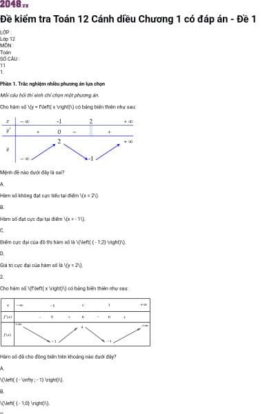Đề kiểm tra Toán 12 Cánh diều Chương 1 có đáp án - Đề 1