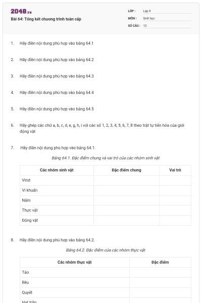 Bài 64: Tổng kết chương trình toàn cấp