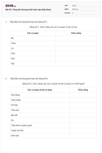 Bài 65: Tổng kết chương trình toàn cấp (tiếp theo)