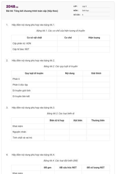 Bài 66: Tổng kết chương trình toàn cấp (tiếp theo)