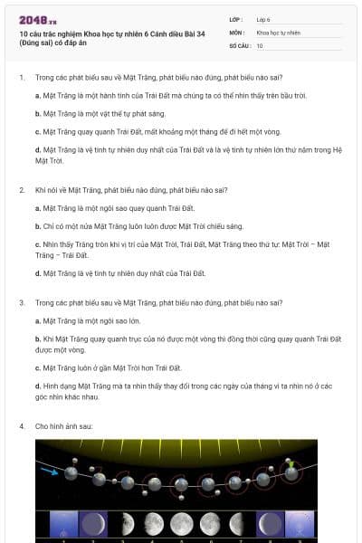 10 câu trắc nghiệm Khoa học tự nhiên 6 Cánh diều Bài 34 (Đúng sai) có đáp án