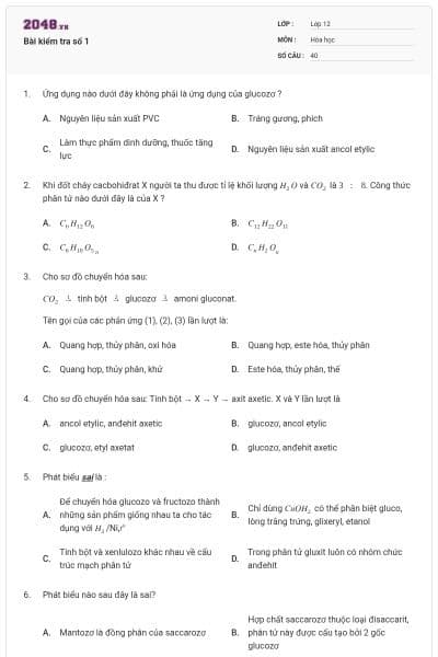 Bài kiểm tra số 1