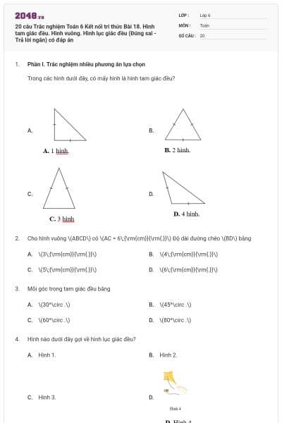 20 câu Trắc nghiệm Toán 6 Kết nối tri thức Bài 18. Hình tam giác đều. Hình vuông. Hình lục giác đều (Đúng sai - Trả lời ngắn) có đáp án