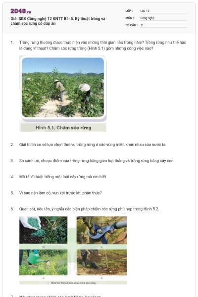 Giải SGK Công nghệ 12 KNTT Bài 5. Kỹ thuật trồng và chăm sóc rừng có đáp án
