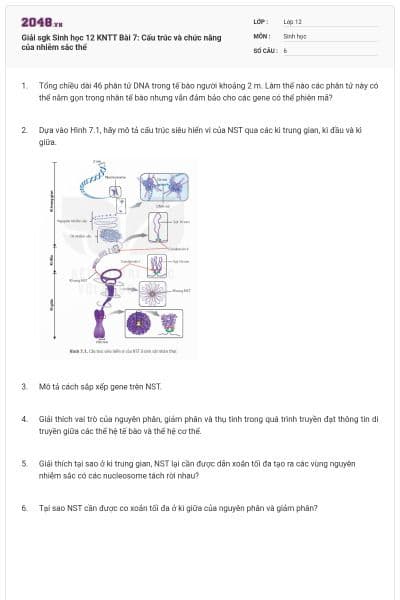 Giải sgk Sinh học 12 KNTT Bài 7: Cấu trúc và chức năng của nhiễm sắc thể