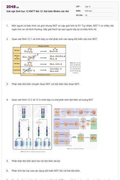 Giải sgk Sinh học 12 KNTT Bài 12: Đột biến Nhiễm sắc thể