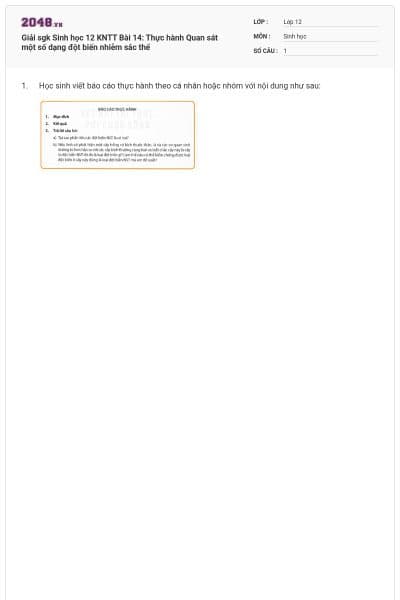 Giải sgk Sinh học 12 KNTT Bài 14: Thực hành Quan sát một số dạng đột biến nhiễm sắc thể