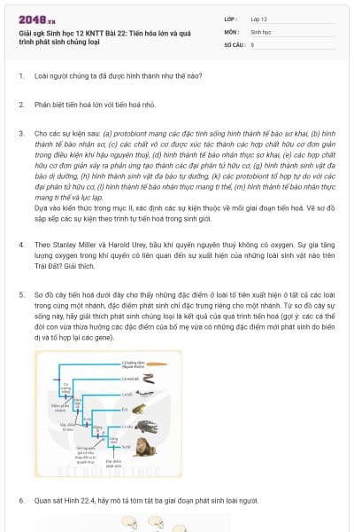 Giải sgk Sinh học 12 KNTT Bài 22: Tiến hóa lớn và quá trình phát sinh chủng loại