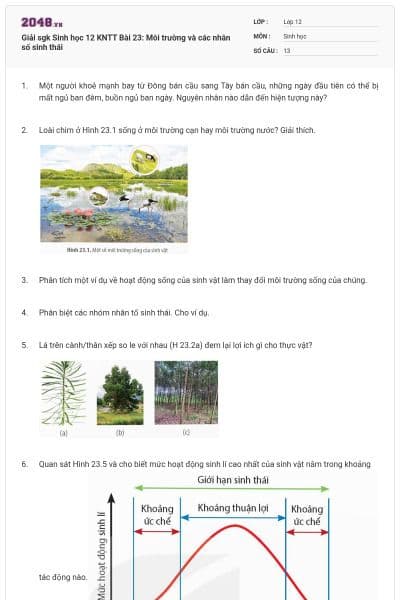 Giải sgk Sinh học 12 KNTT Bài 23: Môi trường và các nhân số sinh thái