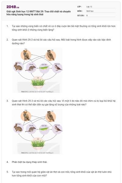 Giải sgk Sinh học 12 KNTT Bài 29: Trao đổi chất và chuyển hóa năng lượng trong hệ sinh thái