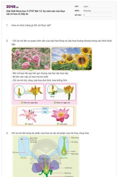 Giải SGK Khoa học 5 CTST Bài 13: Sự sinh sản của thực vật có hoa có đáp án