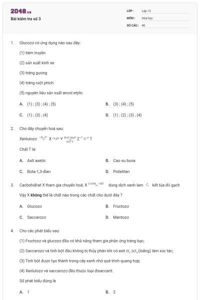 Bài kiểm tra số 3