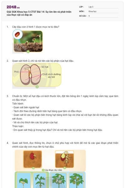 Giải SGK Khoa học 5 CTST Bài 14: Sự lớn lên và phát triển của thực vật có đáp án