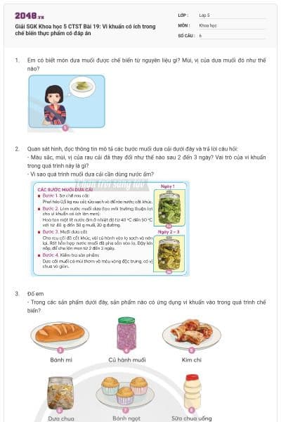 Giải SGK Khoa học 5 CTST Bài 19: Vi khuẩn có ích trong chế biến thực phẩm có đáp án