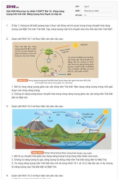 Giải SGK Khoa học tự nhiên 9 KNTT Bài 16. Vòng năng lượng trên trái đất. Năng lượng hóa thạch có đáp án