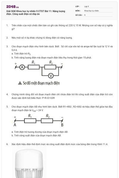 Giải SGK Khoa học tự nhiên 9 CTST Bài 11: Năng lượng điện. Công suất điện có đáp án