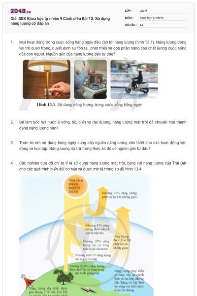 Giải SGK Khoa học tự nhiên 9 Cánh diều Bài 13: Sử dụng năng lượng có đáp án