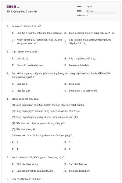 Bài 8: Quang hợp ở thực vật