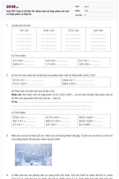 Giải VBT Toán 5 CD Bài 30. Nhân một số thập phân với một số thập phân có đáp án