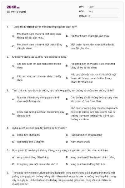 Bài 19: Từ trường